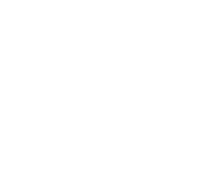 Lion Yachting