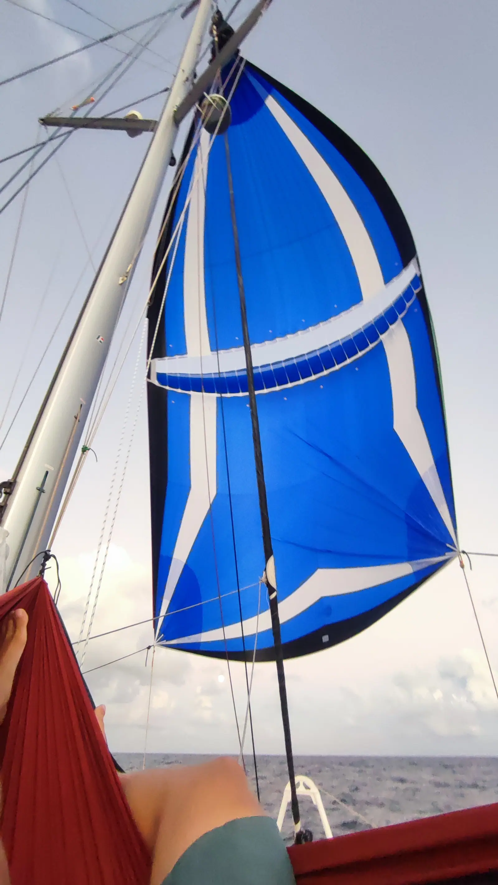 Voilier naviguant sous spi bleu